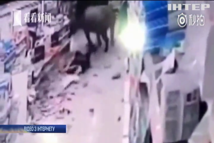 У Китаї буйвол розтрощив супермаркет (відео)