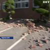 Землетрус у Кореї: 57 людей травмувалися