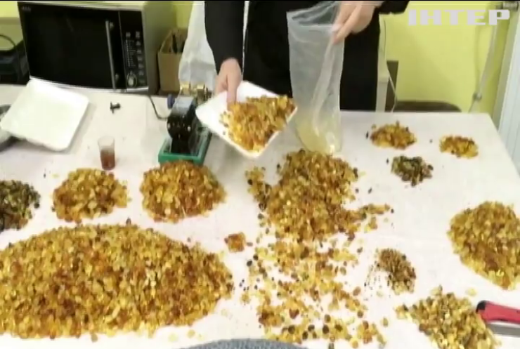 На Рівненщині іноземець організував нелегальну обробку бурштину (відео)
