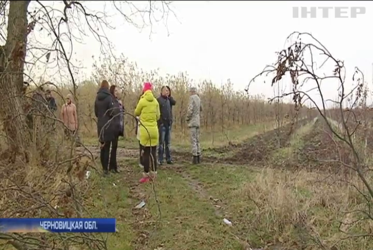С войны на войну: на Буковине ветераны АТО вынуждены бороться за обещанную землю