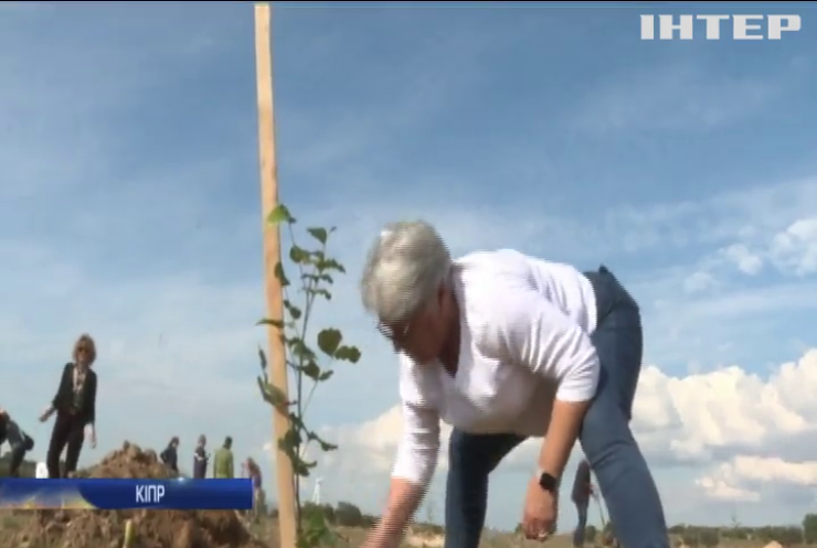 На Кіпрі волонтери рятують врожай бобів