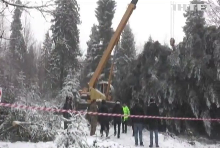 Новый год 2018: главная елка страны застряла по дороге в Киев