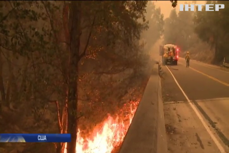 Пожежі в Каліфорнії: полум'я дісталося житлових кварталів Вентури