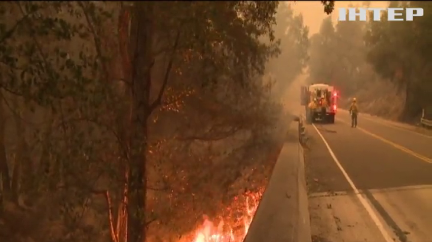 Пожежі в Каліфорнії: полум'я дісталося житлових кварталів Вентури