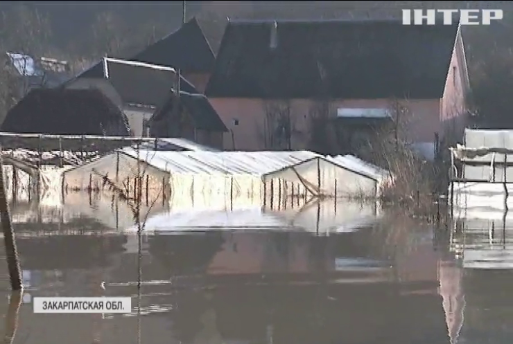 Наводнение на Закарпатье произошло из-за вырубки лесов и халатности чиновников