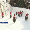 Пінгвінів зоопарку Китаю вдягнули Санта-Клаусами
