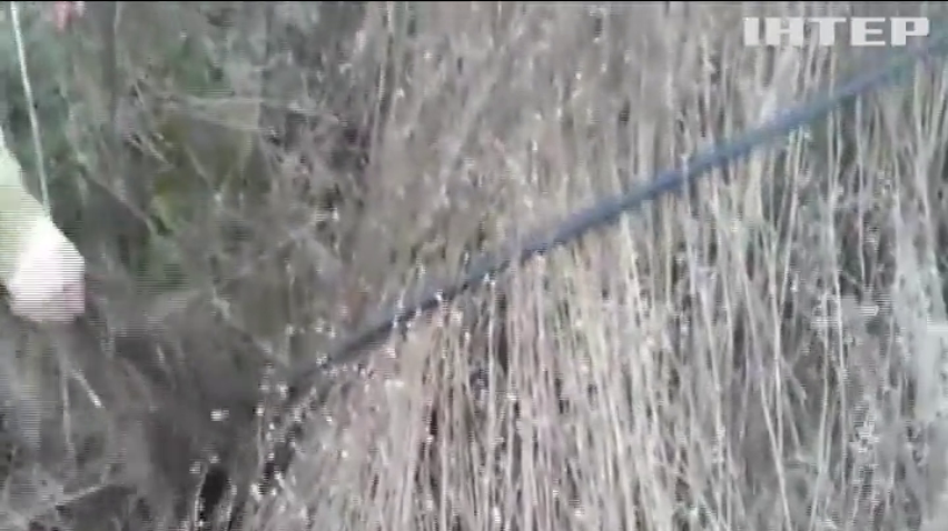 В Одеській області зловмисники налагодили контрабанду спирту з Придністров'я (відео)
