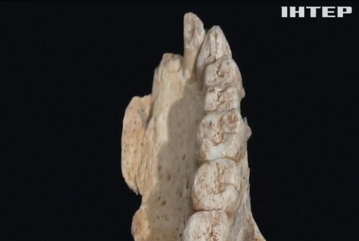 Ізраїльські археологи знайшли найдавніші останки первісної людини (відео)
