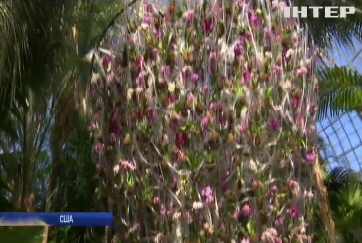 Центр Нью-Йорку прикрасив квітучій сад (відео)