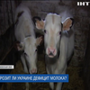 Запрет домашнего молока: фермерам предложили объединяться в кооперативы