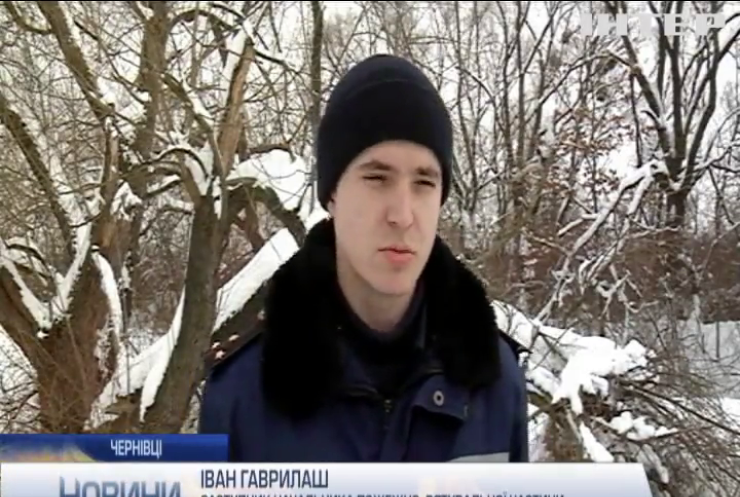 У Чернівцях місцеві жителі допомагають лелекам дочекатись весни (відео)
