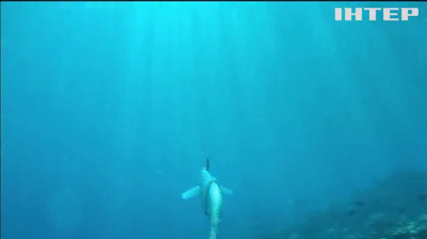Риба-робот підкорює морські глибини (відео)