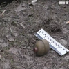 На Сумщині перехожі знайшли гранату серед міста