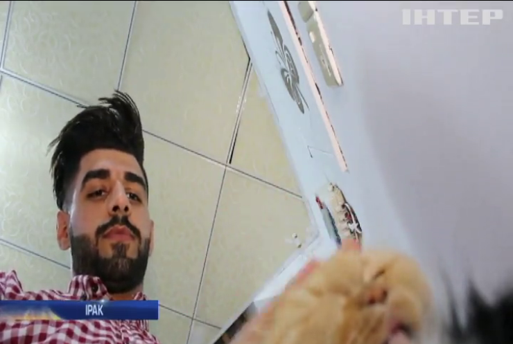 У Іраку студент ветеринарного факультету заснував готель для котів (відео)