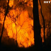 В Австралії вирують лісові пожежі