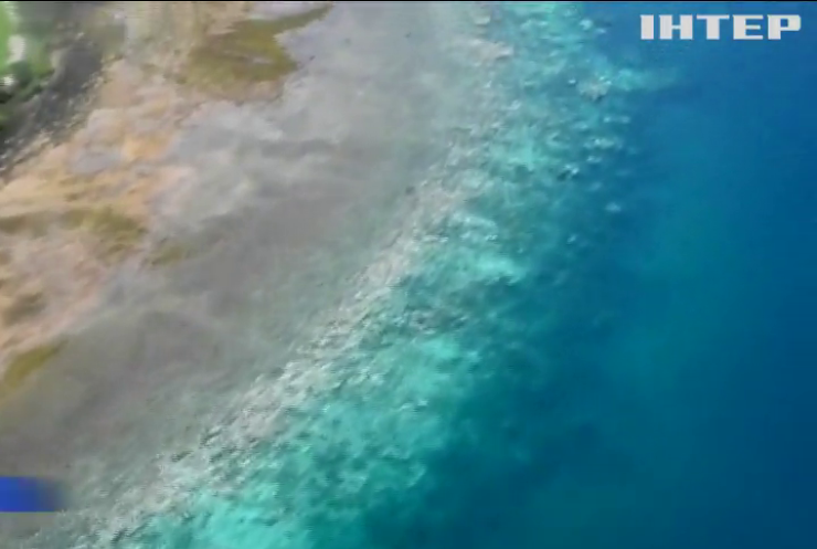 Через глобальне потепління зникає унікальний шедевр у Кораловому морі