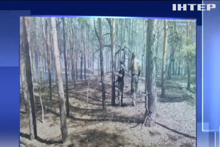 На Луганщині вогонь охопив великий лісовий масив