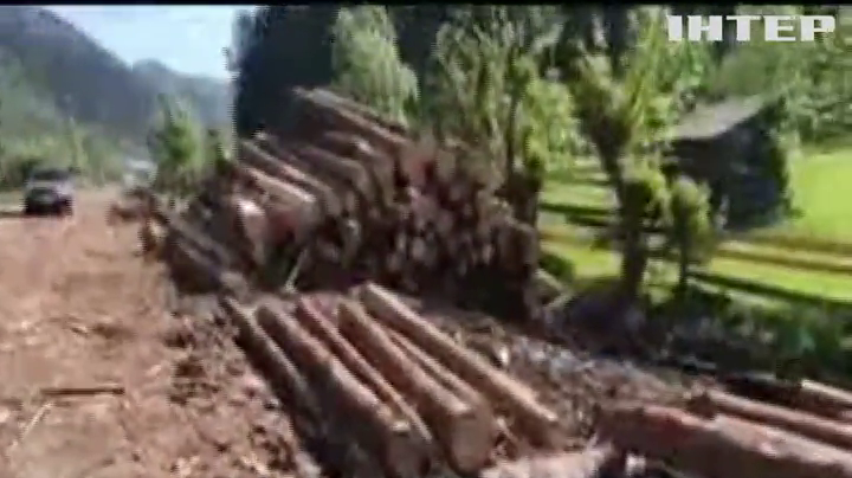 В Закарпатье лесничий за взятки разрешал вырубку деревьев