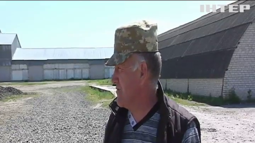 На Волині масово гинуть бджоли