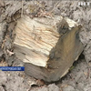 На Дніпропетровщині містяни стали на захист природоохоронної зони