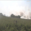Рятувальники повідомили про надзвичайний рівень пожежної небезпеки в Україні