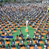 В Індії масово святкують День йоги (відео)
