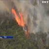 У Каліфорнії вирують масштабні лісові пожежі