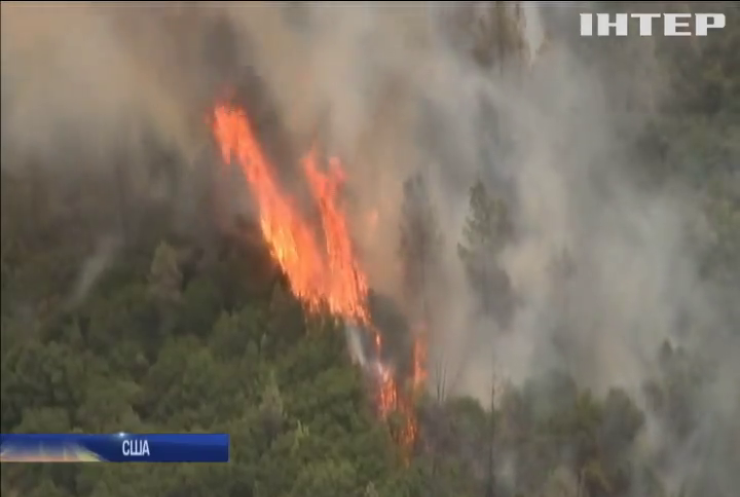 У Каліфорнії вирують масштабні лісові пожежі