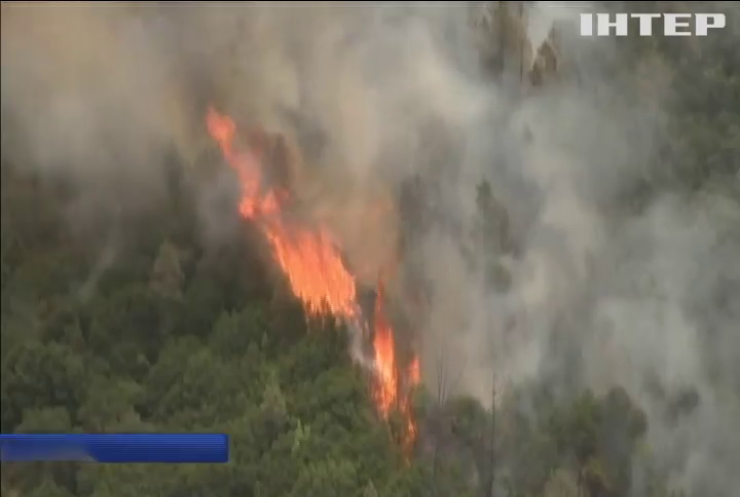 В Каліфорнії вирують лісові пожежі (відео)