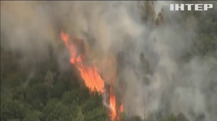 В Каліфорнії вирують лісові пожежі (відео)