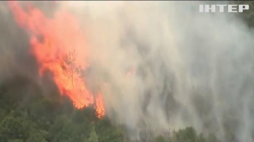 У США продовжують боротися з вогнем у лісах (відео)
