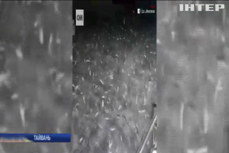 На Тайвані тисячі сардин повискакували з води (відео)