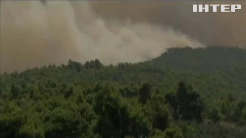 У Греції лісові пожежі забрали життя 20 людей