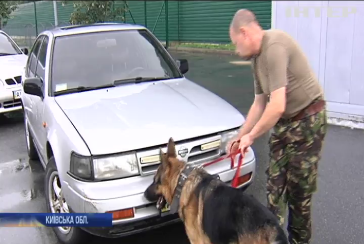У Києві тренують собак для служби на Донбасі