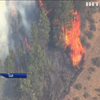 Пожежі в США: у штаті Орегон полум’я знищило більше тисячі будинків