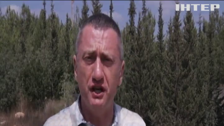 Палестинские террористы жгут поля Израиля (видео)