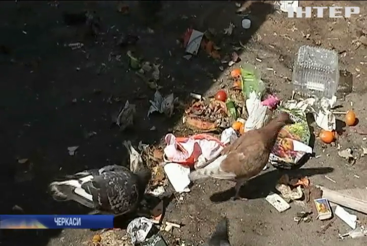 На порозі екологічної катастрофи: Черкаси потерпають від сміття