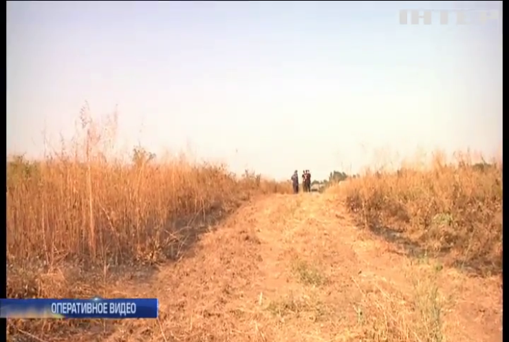 В Одесской области полиция расследует пожар на плантациях виноградников