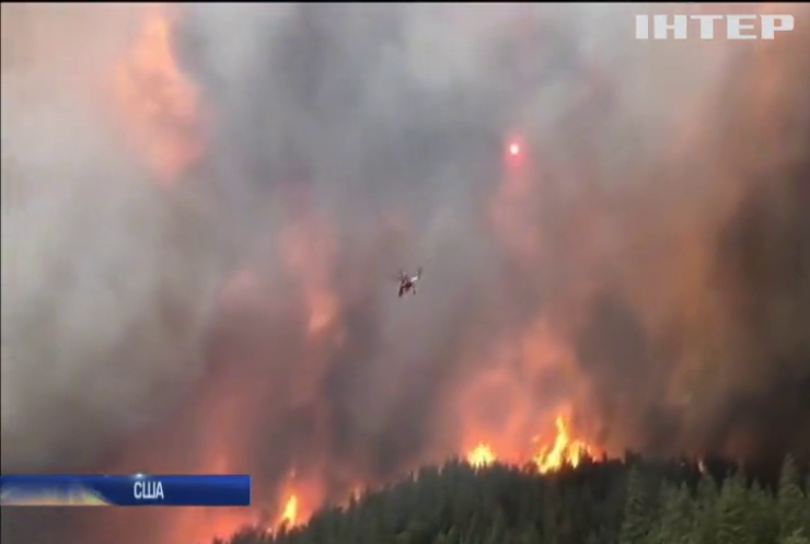 У Каліфорнії палає ліс