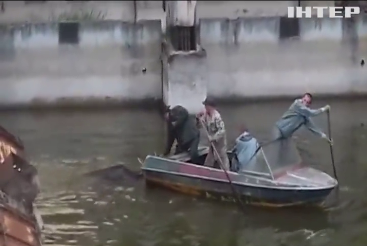 У Чорнобилі рятувальники визволили лося із забрудненої водойми
