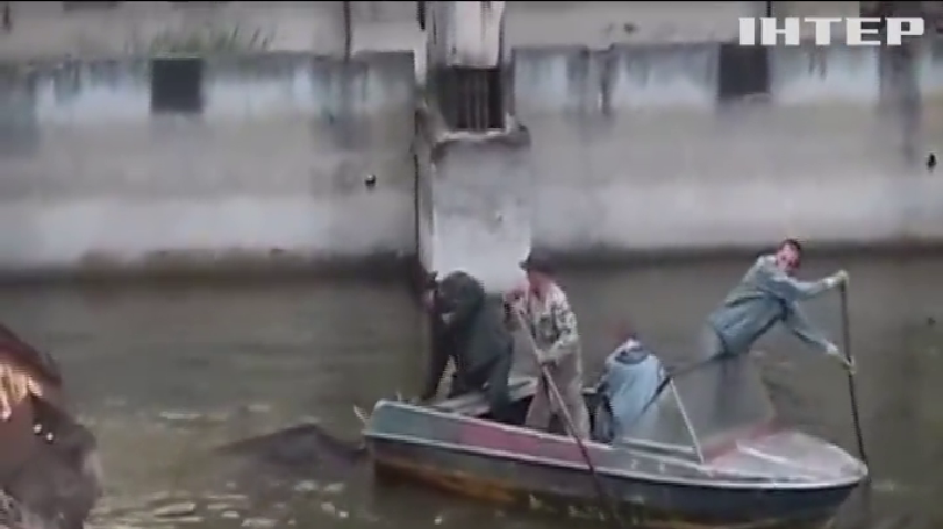 У Чорнобилі рятувальники визволили лося із забрудненої водойми