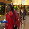 У Києві відбулася виставка африканських равликів