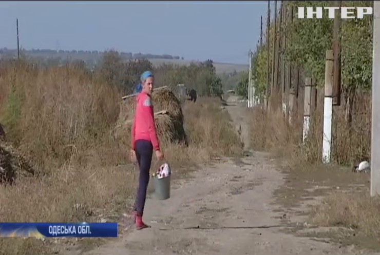 Спалах сибірської виразки: у селі Міняйлівка ввели карантин