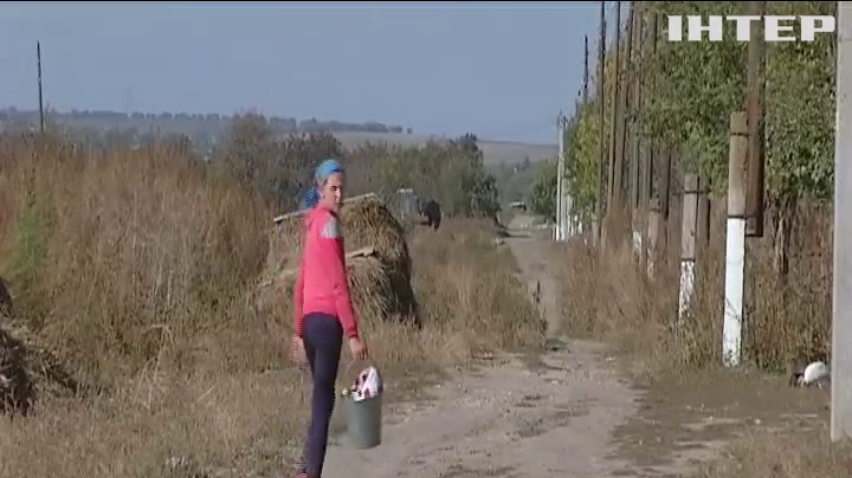 Спалах сибірської виразки: у селі Міняйлівка ввели карантин