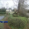 Ураган "Майкл": у Флориді людину вбило деревом 