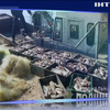 На Полтавщині браконьєри виловили риби на мільйон гривень