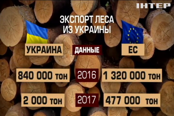 Юрий Бойко: Власть "крышует" незаконную вырубку леса