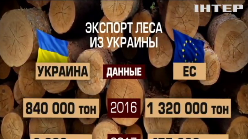 Юрий Бойко: Власть "крышует" незаконную вырубку леса