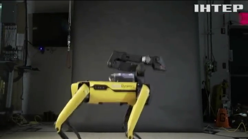 Американці навчили танцювати собаку-робота (відео)