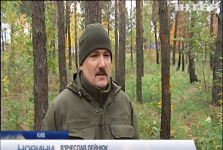 У Києві знищили гектар соснового лісу
